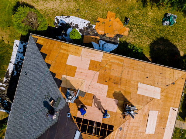 Best Metal Roofing Contractor  in Walsenburg, CO