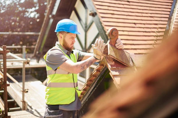 Best Roof Gutter Cleaning  in Walsenburg, CO